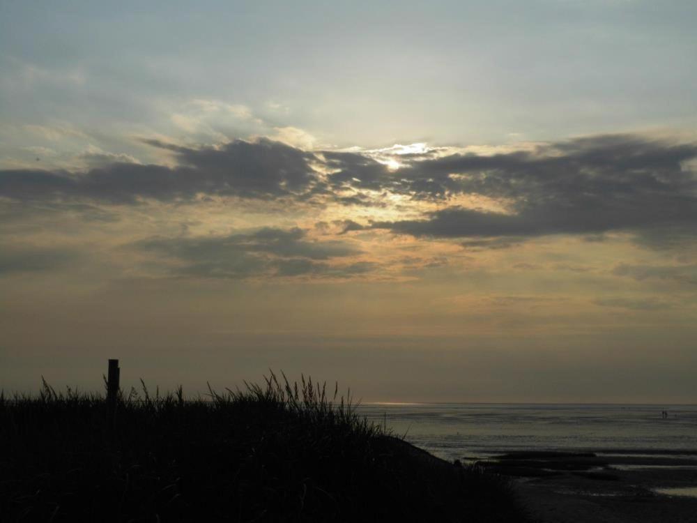 Frische-brise-15-02 *